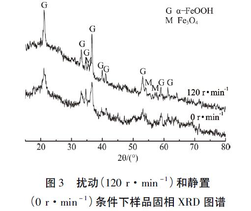 圖3 芯片結(jié)構(gòu)